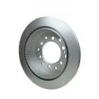 HELLA 8DD 355 114-861 - Jeu de 2 disques de frein arrière