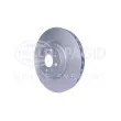 HELLA 8DD 355 117-111 - Jeu de 2 disques de frein avant