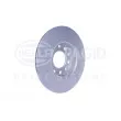 HELLA 8DD 355 117-241 - Jeu de 2 disques de frein arrière