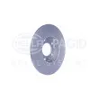 HELLA 8DD 355 118-171 - Jeu de 2 disques de frein arrière