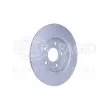HELLA 8DD 355 118-221 - Jeu de 2 disques de frein arrière