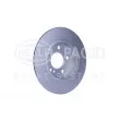 HELLA 8DD 355 119-431 - Jeu de 2 disques de frein arrière