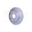 HELLA 8DD 355 119-501 - Jeu de 2 disques de frein arrière