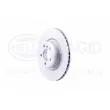 HELLA 8DD 355 120-841 - Jeu de 2 disques de frein arrière