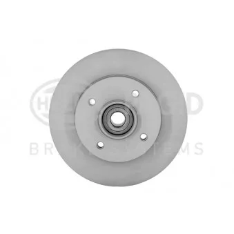 Jeu de 2 disques de frein arrière HELLA OEM 4246Z9
