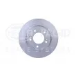 HELLA 8DD 355 126-651 - Jeu de 2 disques de frein arrière