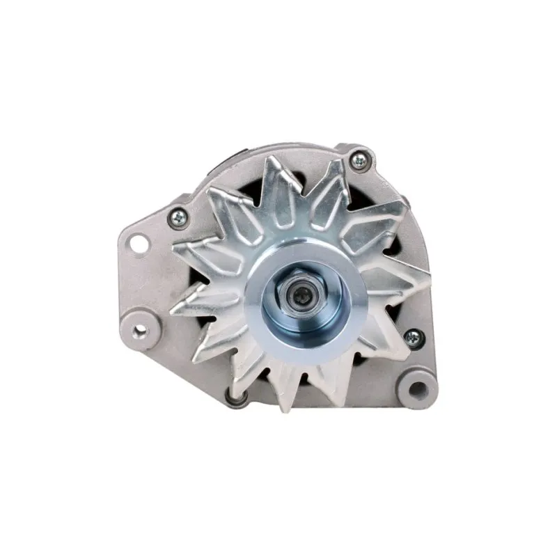 Alternateur HELLA 8EL 012 429-261 - Visuel 1