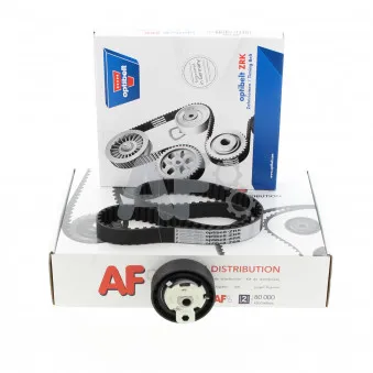 Kit de distribution AUTOMOTOR France OEM 2T1Q6M260AA