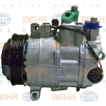 Compresseur, climatisation HELLA OEM 0012305011