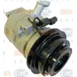 HELLA 8FK 351 125-791 - Compresseur, climatisation