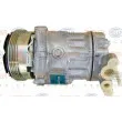 HELLA 8FK 351 316-021 - Compresseur, climatisation