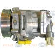 HELLA 8FK 351 316-381 - Compresseur, climatisation