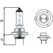 Ampoule, projecteur principal HELLA [8GH 007 157-481]