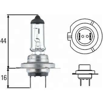 HELLA 8GH 007 157-481 - Ampoule, projecteur principal