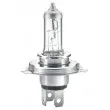 HELLA 8GJ 002 525-481 - Ampoule, projecteur principal