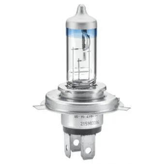 Ampoule, projecteur principal HELLA 8GJ 178 560-481