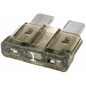 Fusible HELLA OEM 5050650519