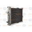 HELLA 8MK 376 710-024 - Radiateur, refroidissement du moteur