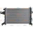 HELLA 8MK 376 714-371 - Radiateur, refroidissement du moteur