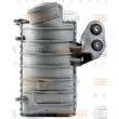 HELLA 8ML 376 700-061 - Intercooler, échangeur