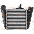 HELLA 8ML 376 700-101 - Intercooler, échangeur