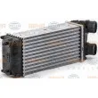 HELLA 8ML 376 700-511 - Intercooler, échangeur