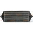 HELLA 8ML 376 700-544 - Intercooler, échangeur