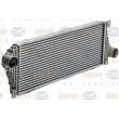 HELLA 8ML 376 700-624 - Intercooler, échangeur