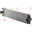 HELLA 8ML 376 700-644 - Intercooler, échangeur