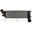 HELLA 8ML 376 700-711 - Intercooler, échangeur