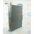 HELLA 8ML 376 722-011 - Intercooler, échangeur