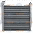 HELLA 8ML 376 724-041 - Intercooler, échangeur