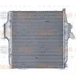 HELLA 8ML 376 724-061 - Intercooler, échangeur