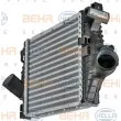 HELLA 8ML 376 724-121 - Intercooler, échangeur