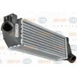 HELLA 8ML 376 746-631 - Intercooler, échangeur