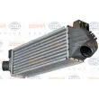 HELLA 8ML 376 746-631 - Intercooler, échangeur