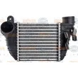 HELLA 8ML 376 760-701 - Intercooler, échangeur