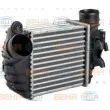 HELLA 8ML 376 760-701 - Intercooler, échangeur
