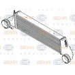 HELLA 8ML 376 777-241 - Intercooler, échangeur
