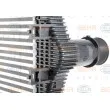HELLA 8ML 376 777-671 - Intercooler, échangeur