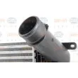HELLA 8ML 376 777-681 - Intercooler, échangeur