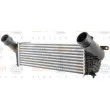 HELLA 8ML 376 777-681 - Intercooler, échangeur