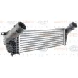 HELLA 8ML 376 777-681 - Intercooler, échangeur