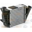 HELLA 8ML 376 900-391 - Intercooler, échangeur