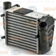 HELLA 8ML 376 900-391 - Intercooler, échangeur
