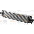 HELLA 8ML 376 900-431 - Intercooler, échangeur