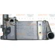 HELLA 8MO 376 765-571 - radiateur d'huile, retardateur