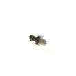 BOSCH 0 281 006 313 - Capteur, pression de carburant