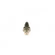 BOSCH 0 281 007 303 - Capteur, pression de carburant
