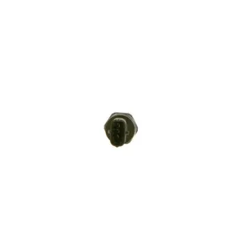 BOSCH 0 281 007 304 - Capteur, pression de carburant